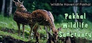 Pakhal Lake & Wildlife Sanctuary